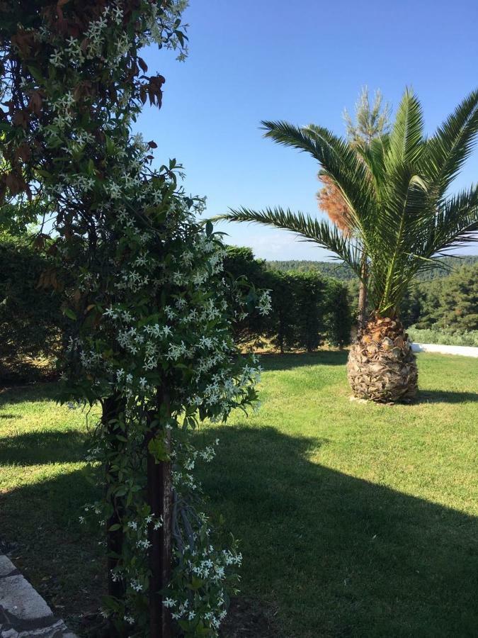 3 Bedroom Villa In Elani Villas Chalkidiki Siviri Exterior foto